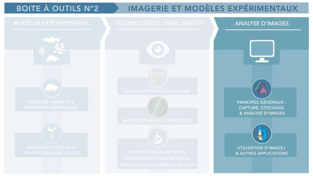 Analyse d&rsquo;images